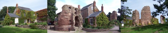 Views of Wilton Castle