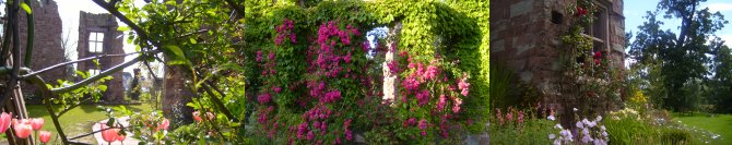 The gardens at Wilton Castle