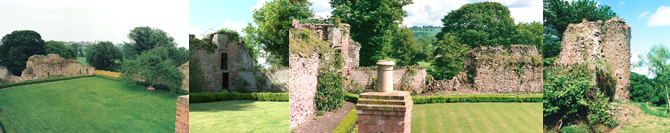 Wilton Castle Restoration